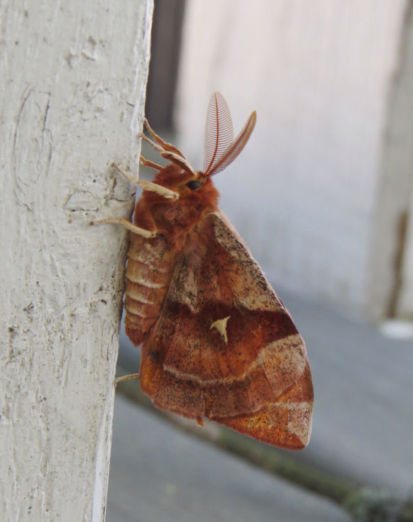 Valokuvaaja: Jaana Talvinen