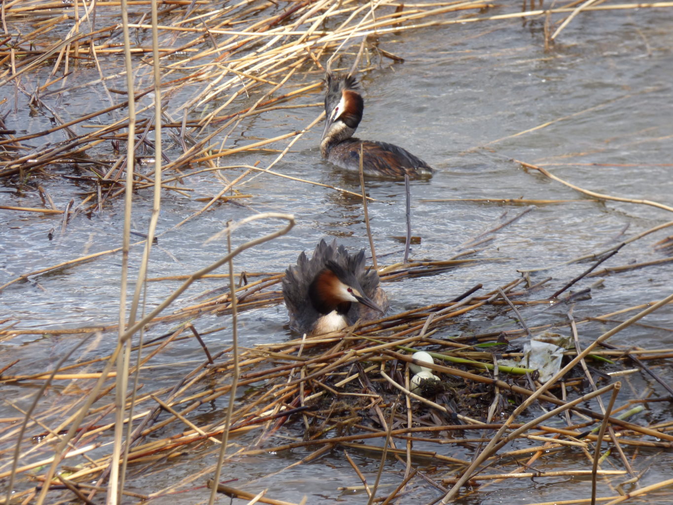 Valokuvaaja: Teijo liiti