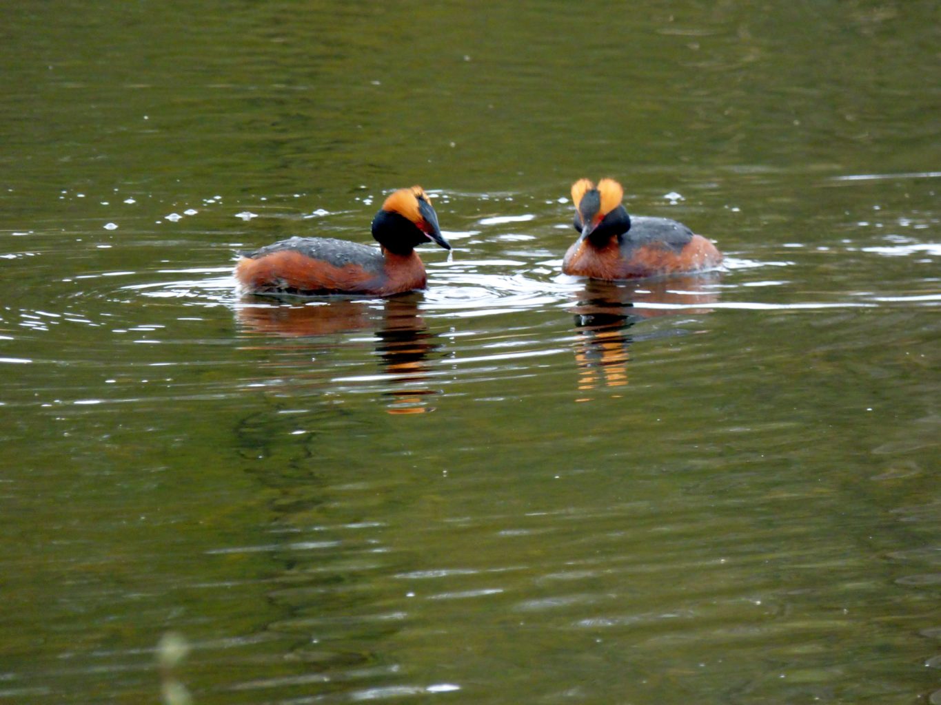 Valokuvaaja: Teijo Liiti