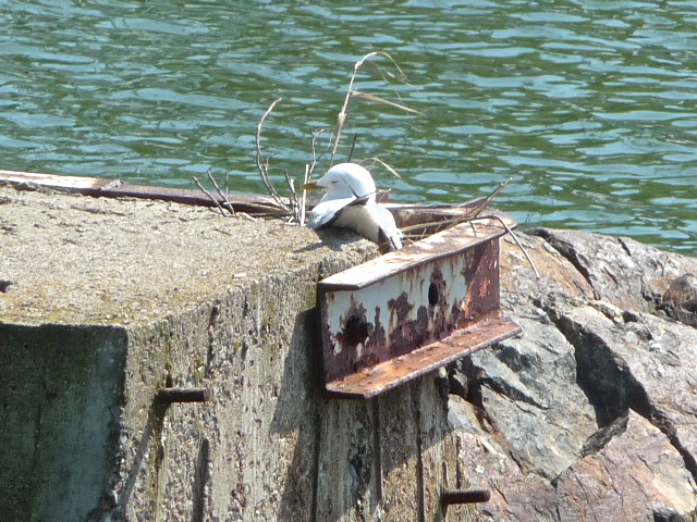 Valokuvaaja: Katri Lehtonen