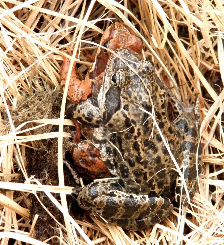 Valokuvaaja: Pirkko Hakulinen