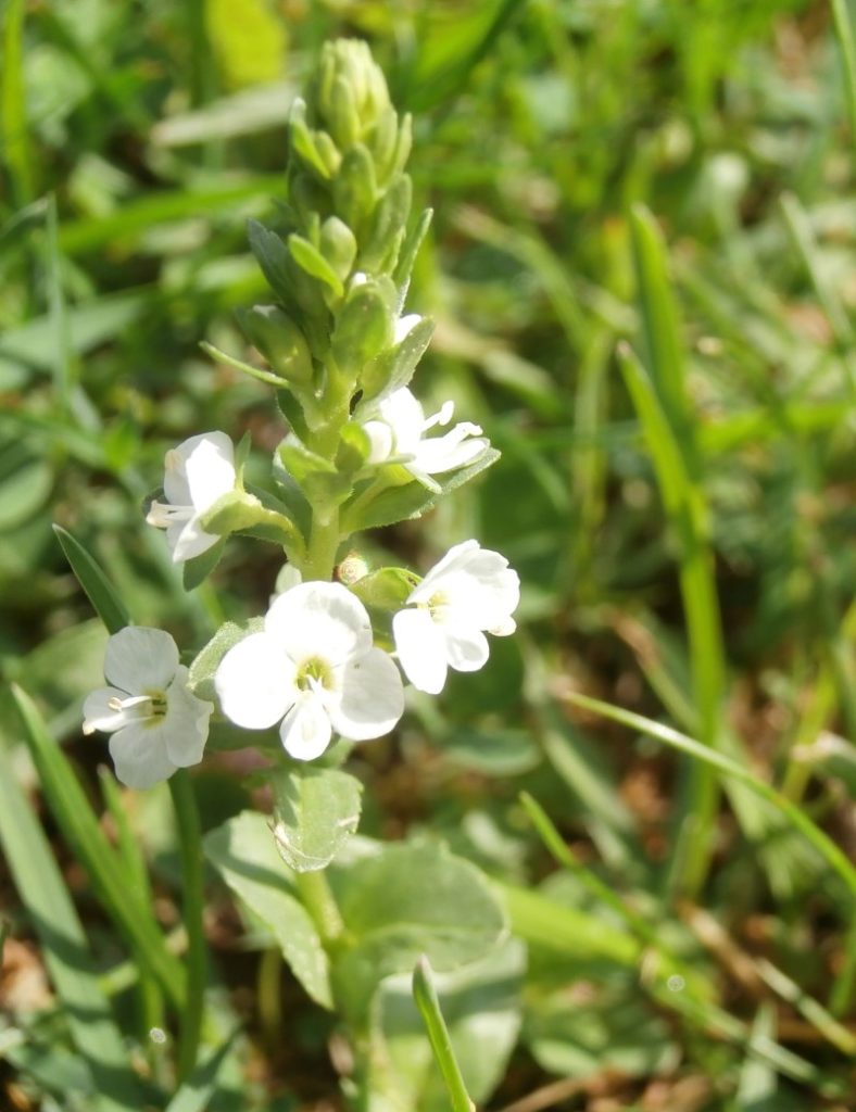 Valokuvaaja: Taina Kankare