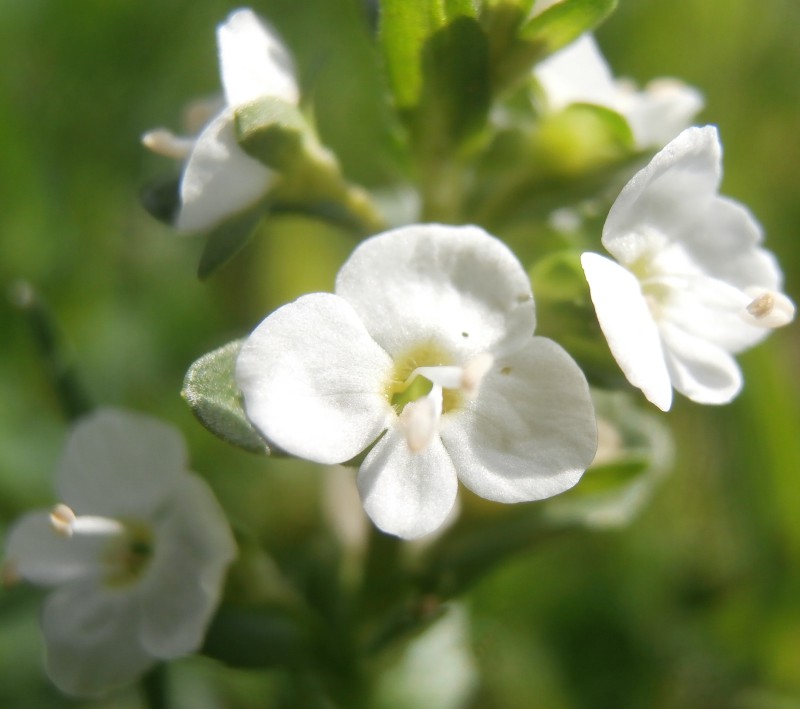 Valokuvaaja: Taina Kankare