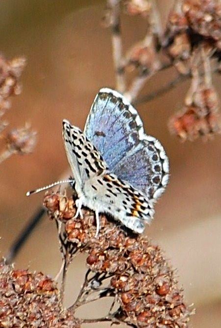 Valokuvaaja: Antti Kaskinen