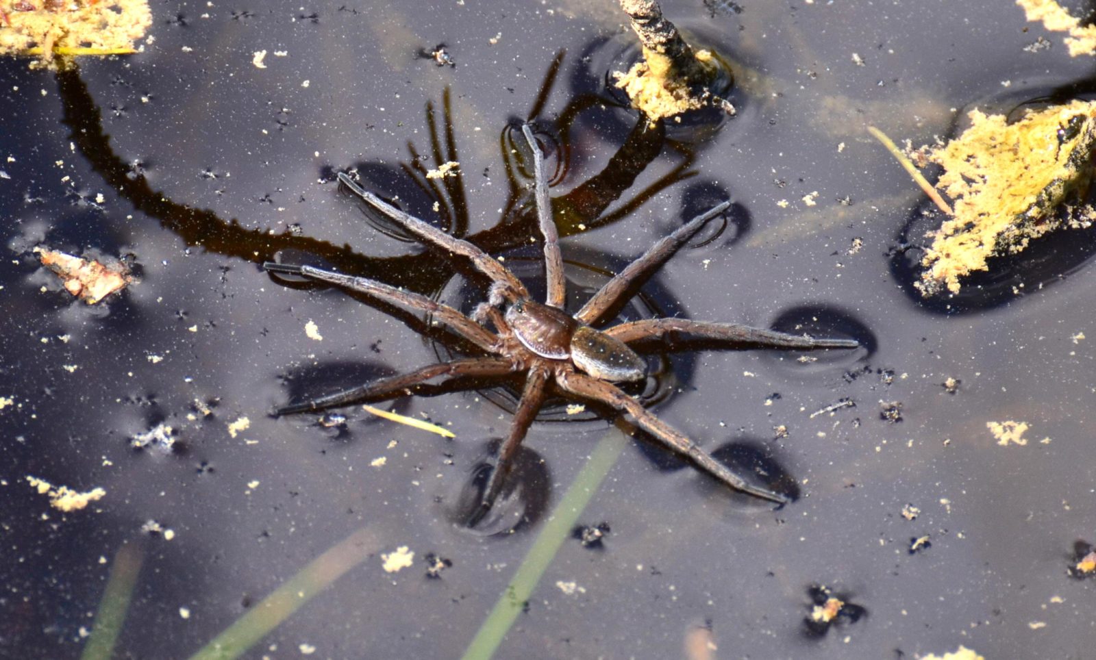 Valokuvaaja: Noora Andersson