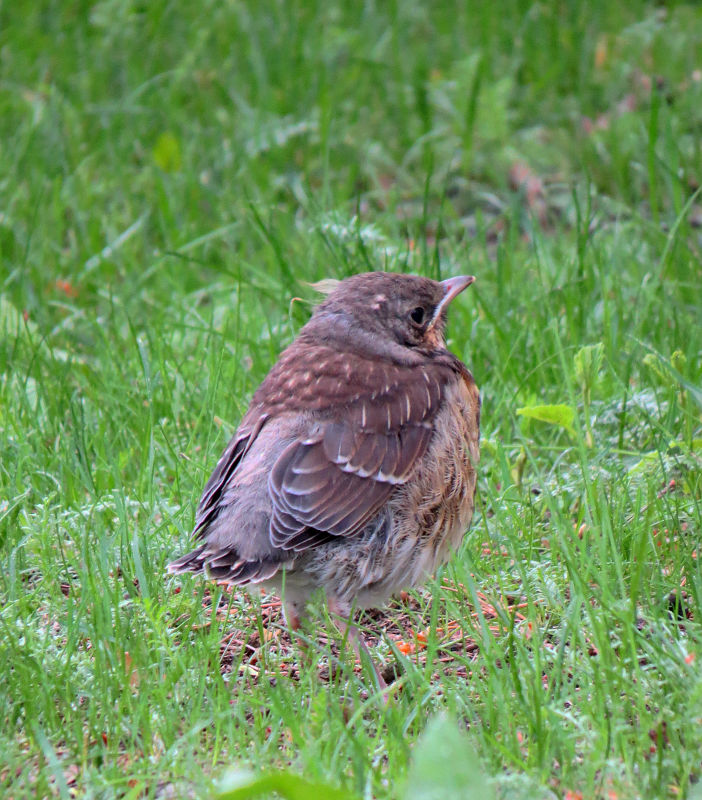 Valokuvaaja: Jaana Talvinen