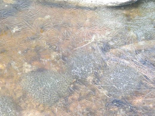 Valokuvaaja: Eeva-Liisa Kanniainen