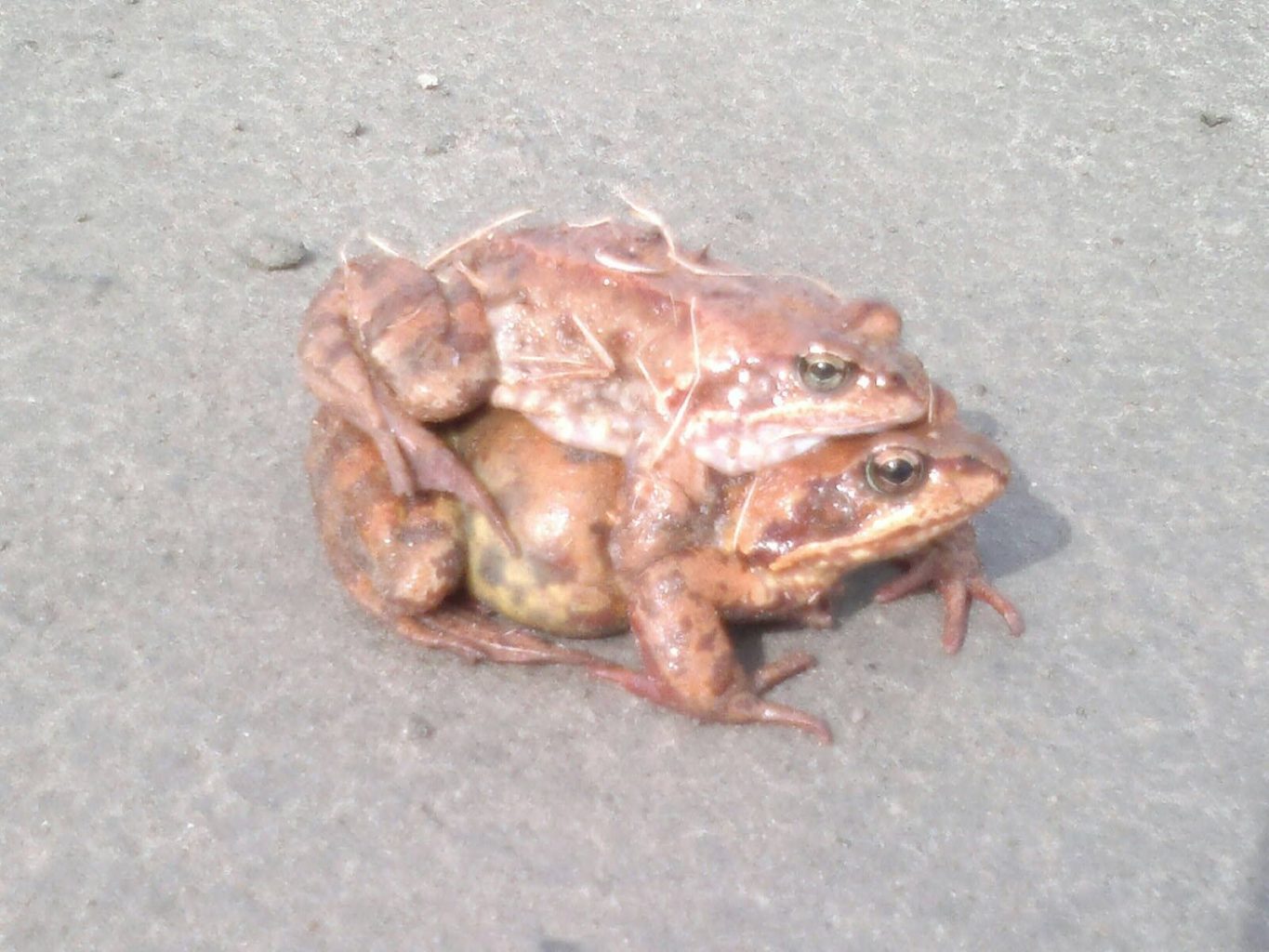 Valokuvaaja: Eeva-liisa Kanniainen