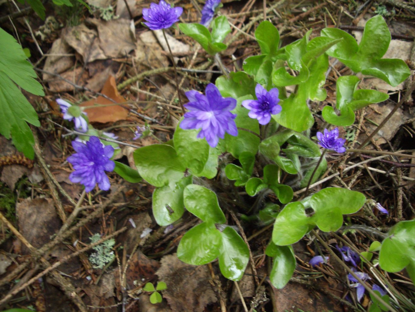 Valokuvaaja: Auli Kettunen
