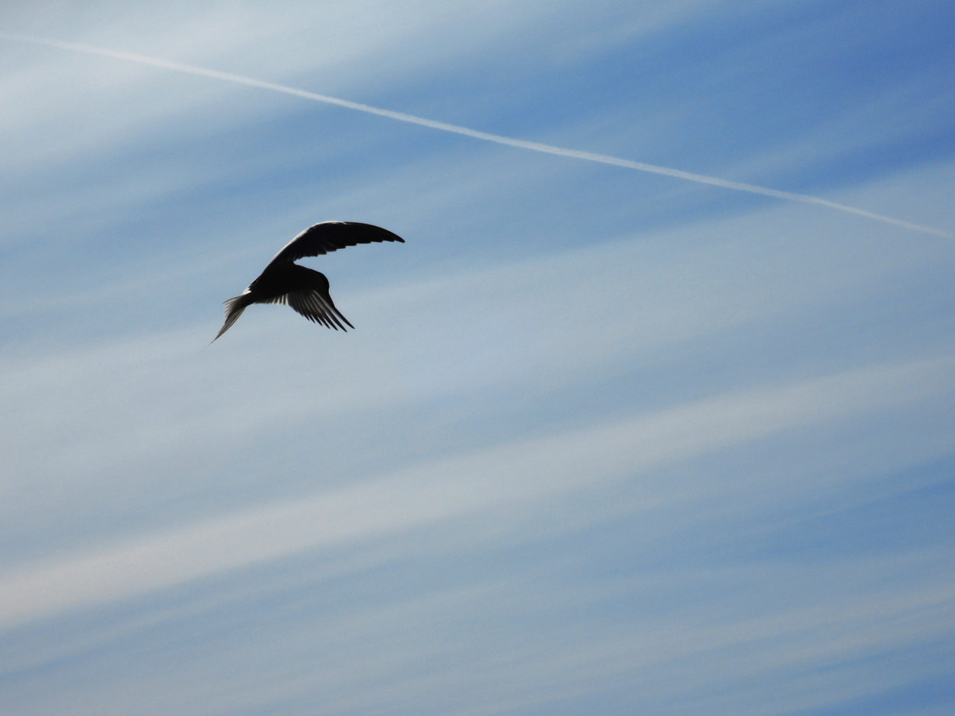 Valokuvaaja: Jere Grönberg