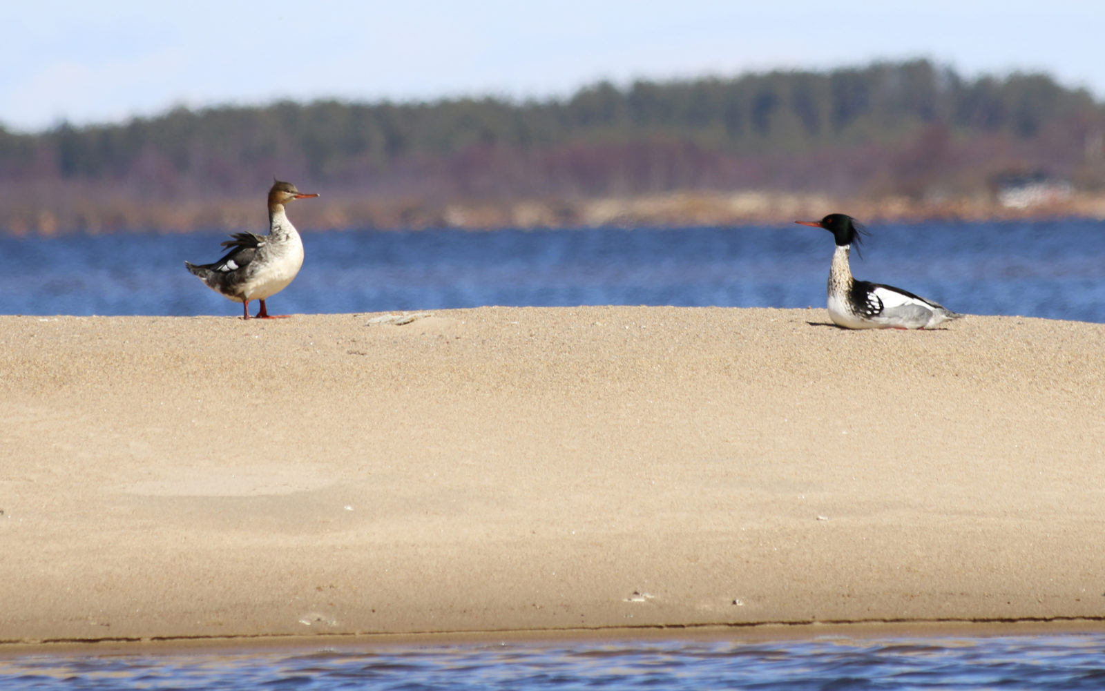 Valokuvaaja: Eveliina Pylväs