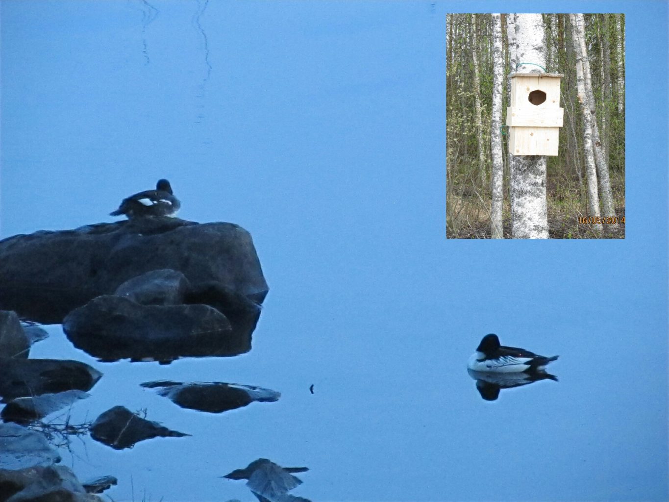 Valokuvaaja: Tuula Makkonen Valokuvaaja: Tuula Makkonen