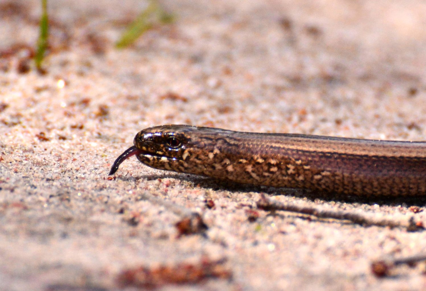 Valokuvaaja: Noora Andersson