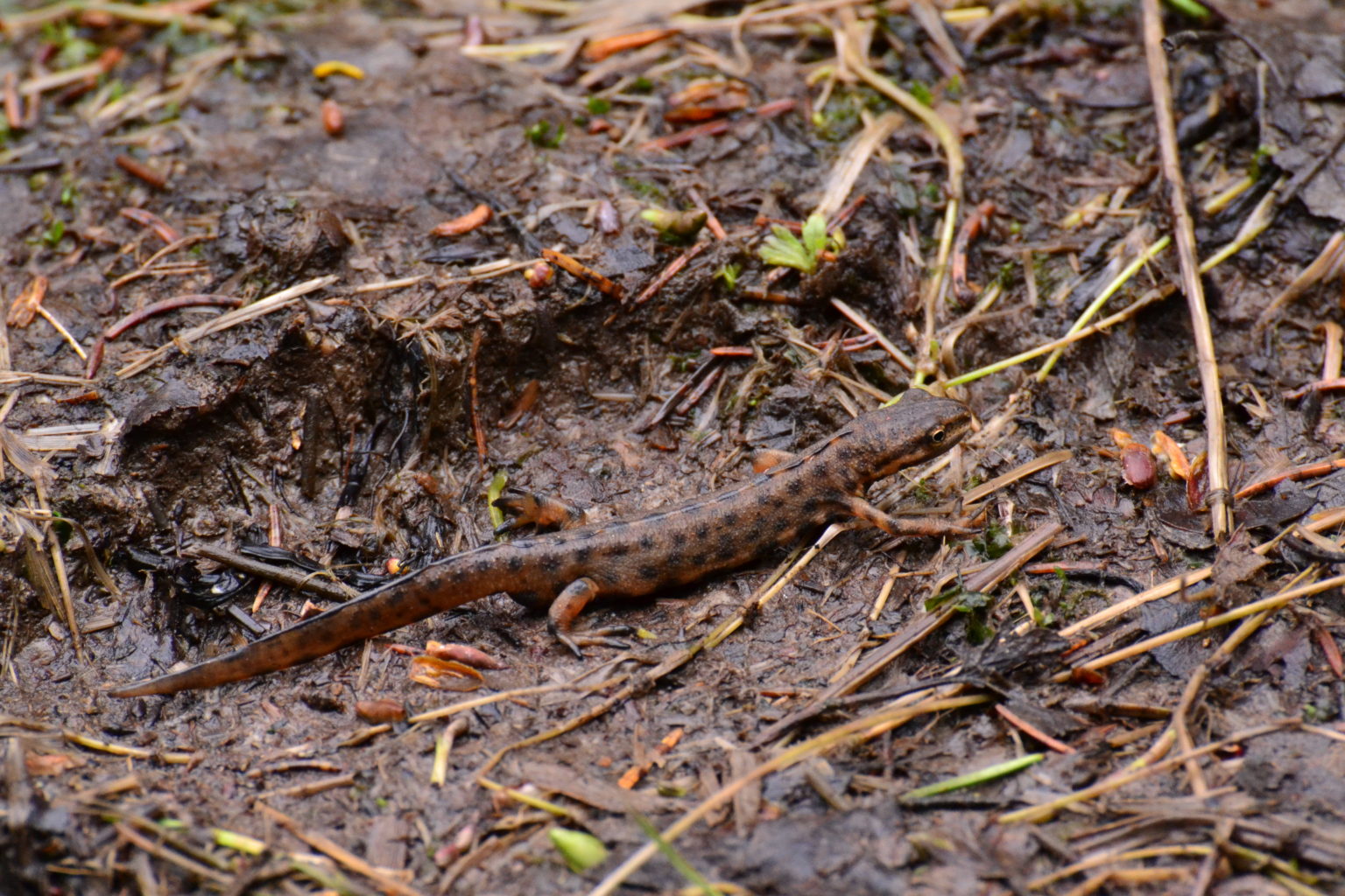 Valokuvaaja: Jesper Andersson