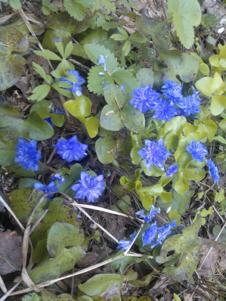 Valokuvaaja: Katja Pennanen