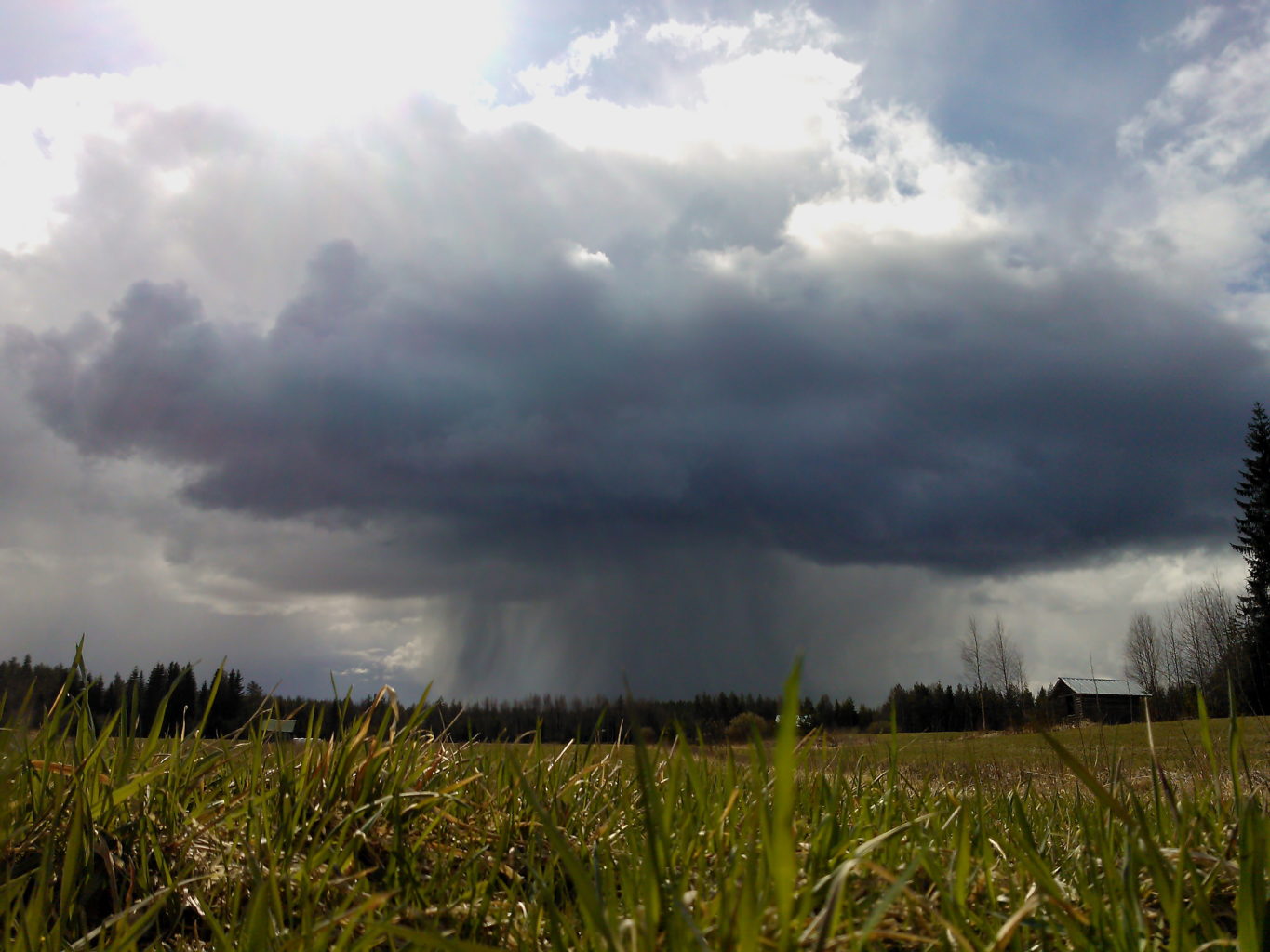 Valokuvaaja: Lasse Ylisaari