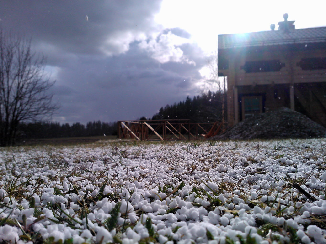 Valokuvaaja: Lasse Ylisaari