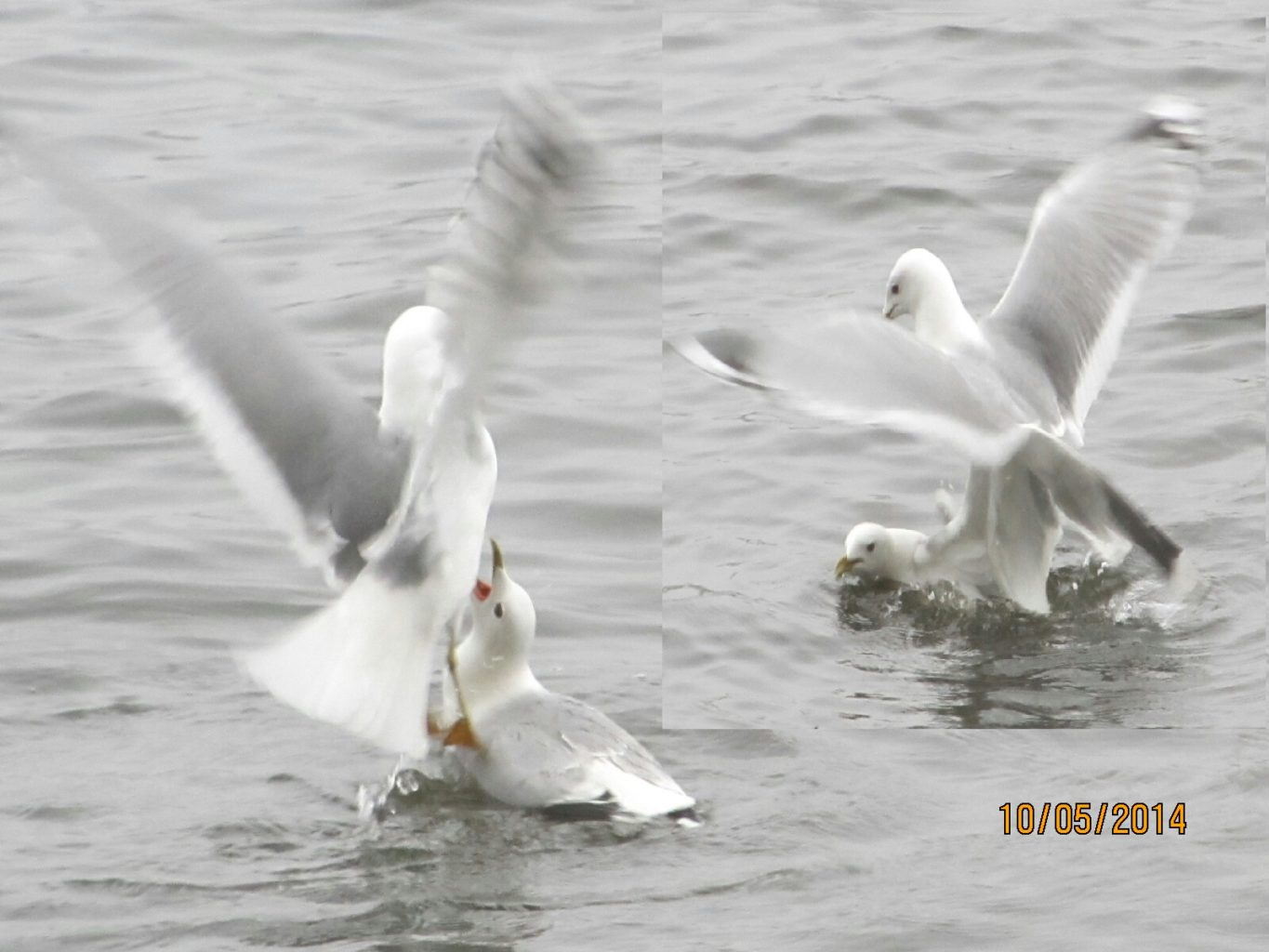 Valokuvaaja: Tuula Makkonen