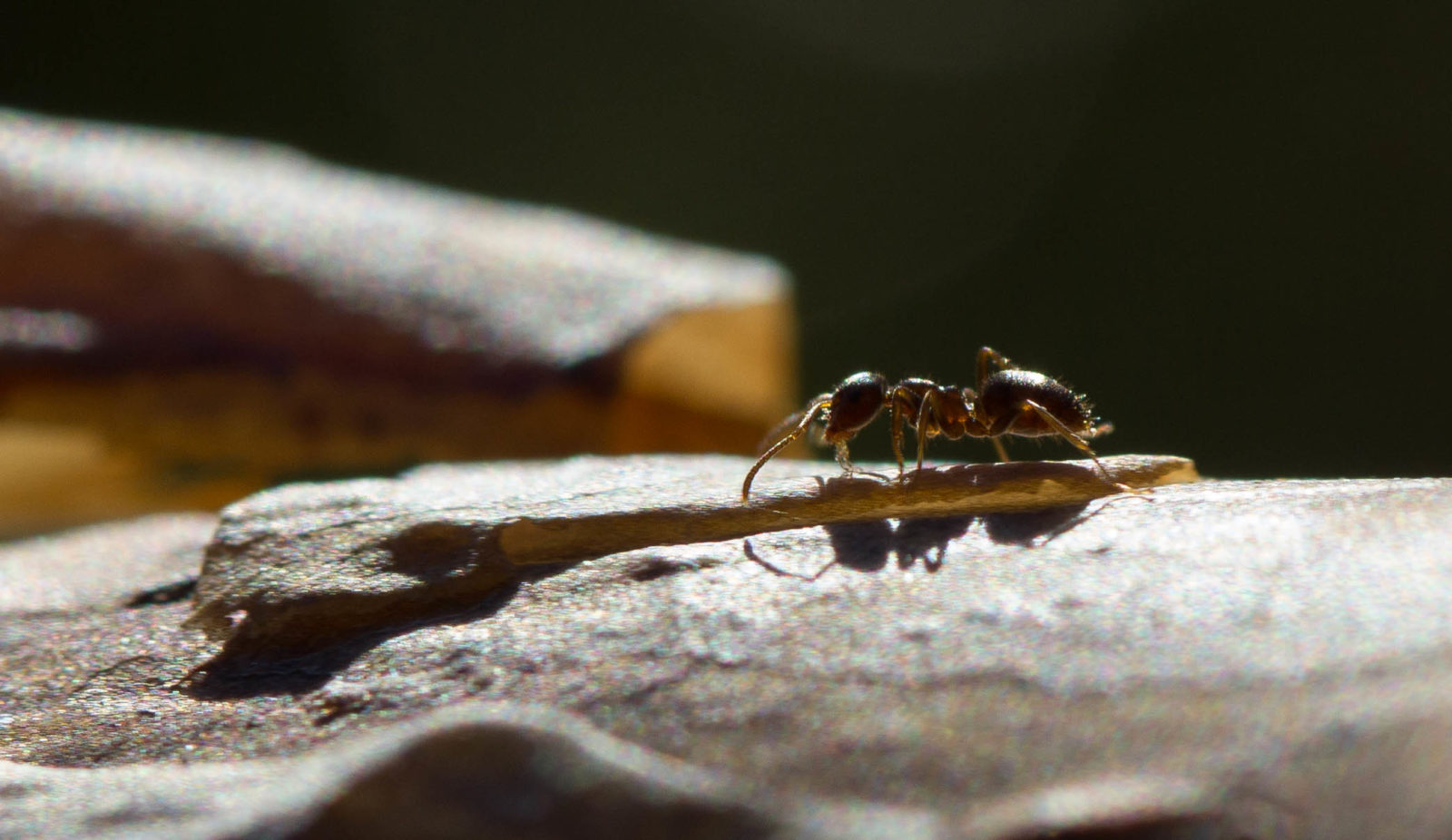 Valokuvaaja: Henri Virtanen