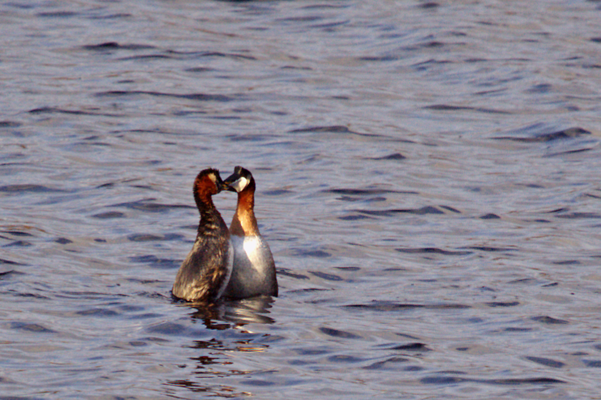 Valokuvaaja: Susanna Hietanen