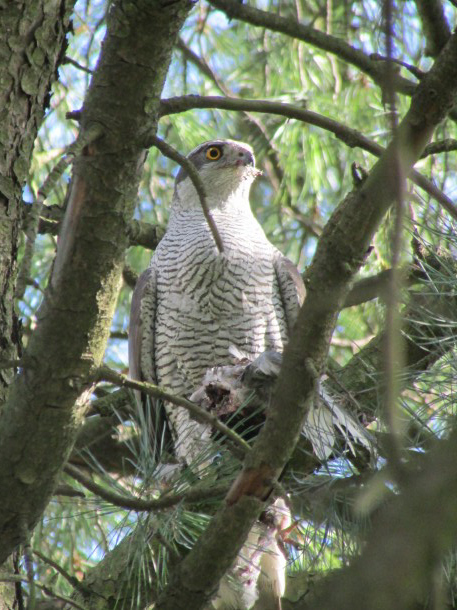 Valokuvaaja: Niina Holmström Valokuvaaja: Niina Holmström