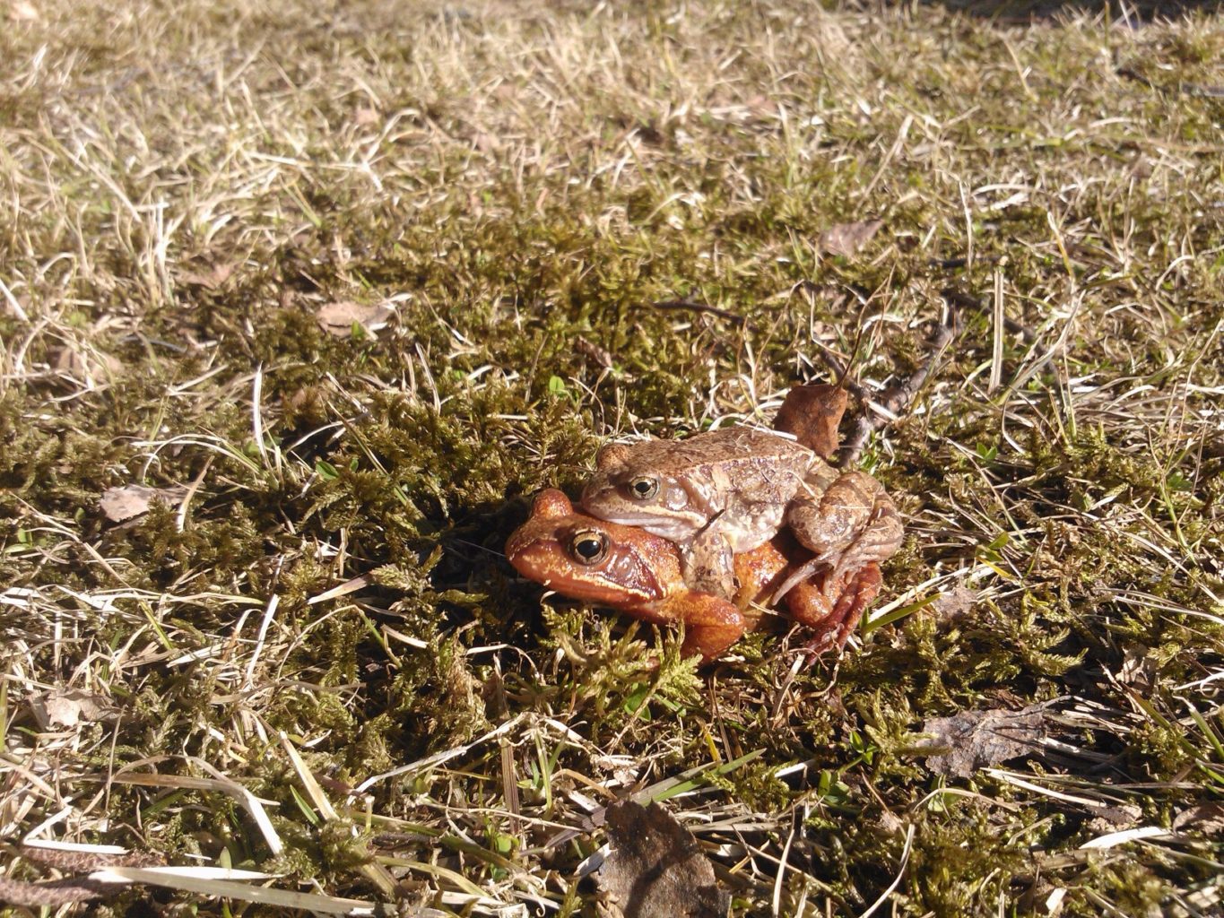 Valokuvaaja: Terhi Kivinen Valokuvaaja: Terhi Kivinen