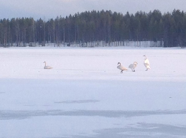 Valokuvaaja: Outi Räsänen
