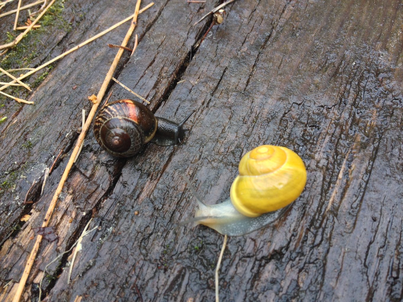Valokuvaaja: Timo Juurinen