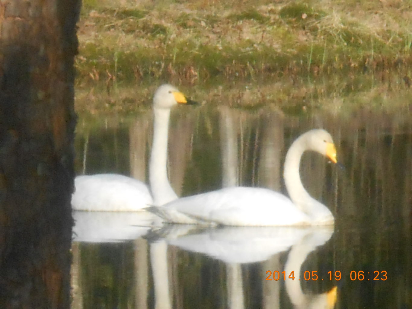 Valokuvaaja: Lea Mäyrä