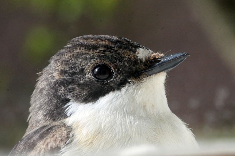 Valokuvaaja: Jari Taivainen