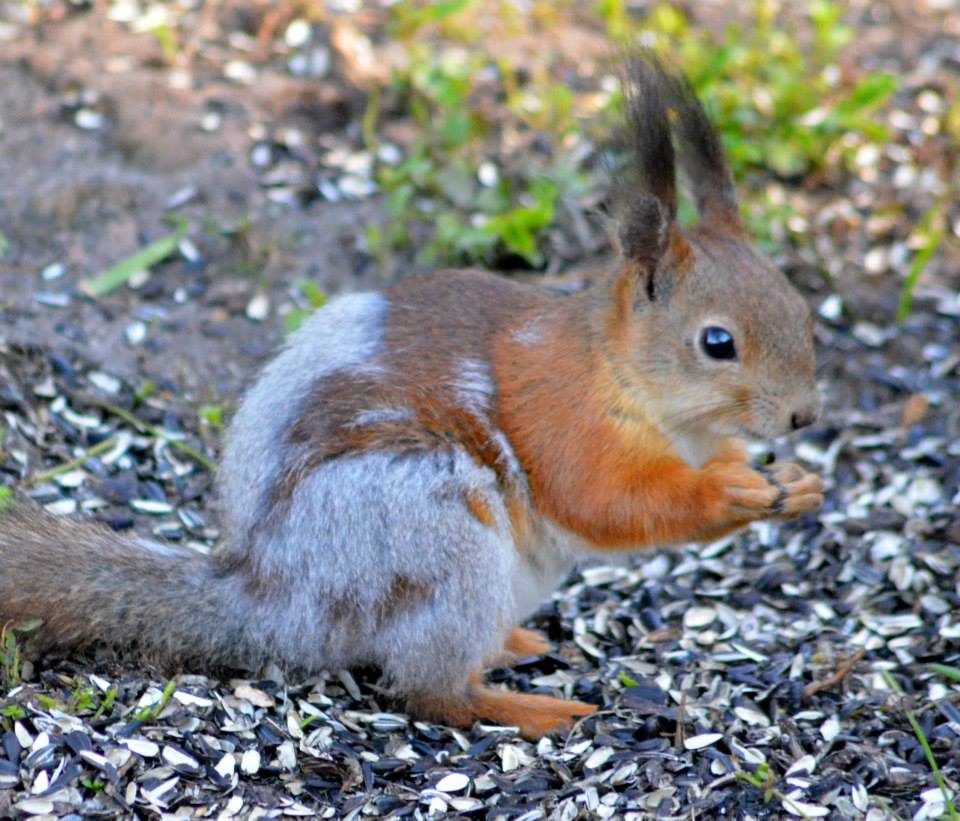 Valokuvaaja: Eija Varjola