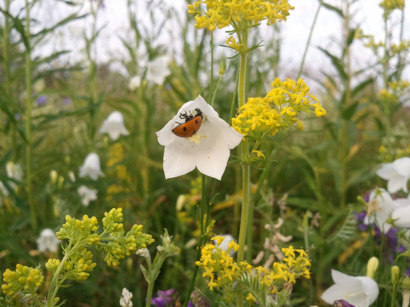 Valokuvaaja: Natalie Saaristo Valokuvaaja: Natalie Saaristo