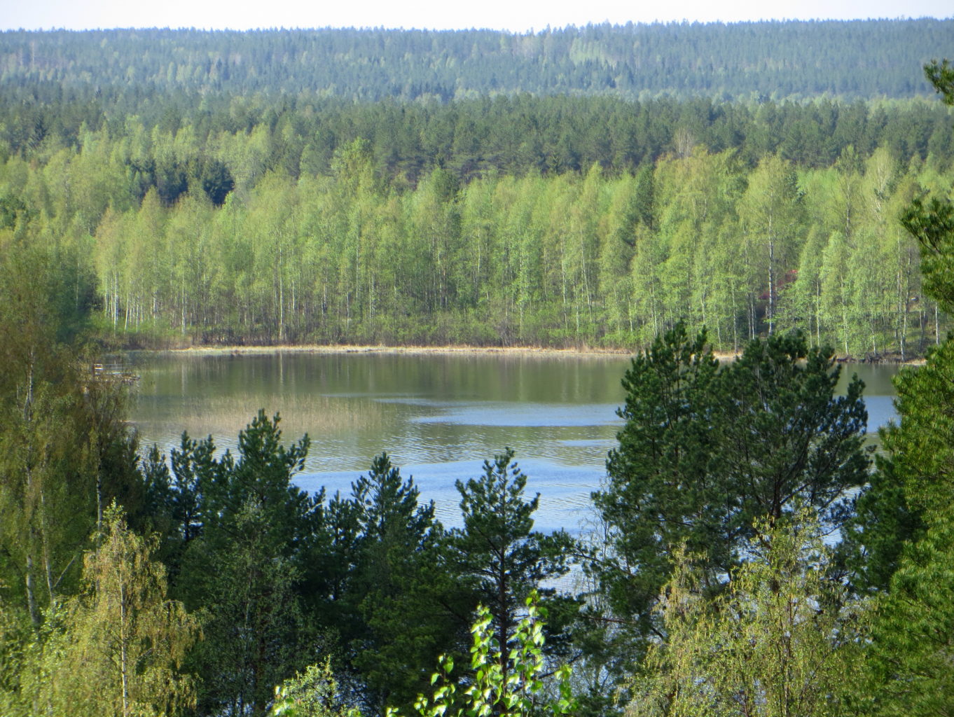 Valokuvaaja: Sirkka Ruotoistenmäki