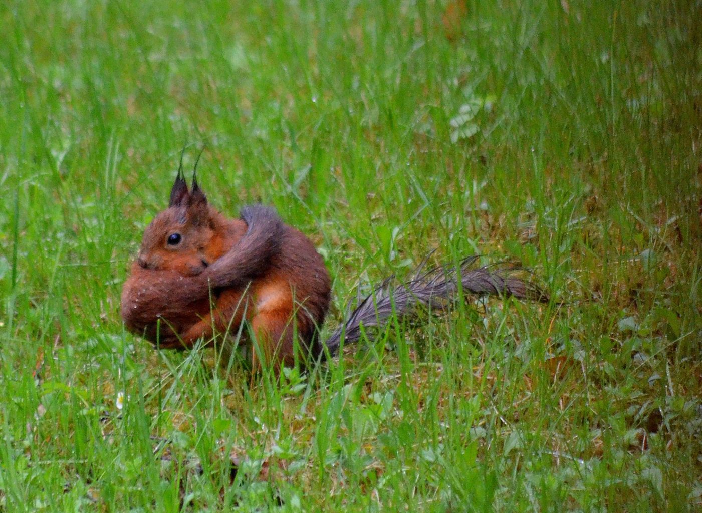 Valokuvaaja: Eija Varjola