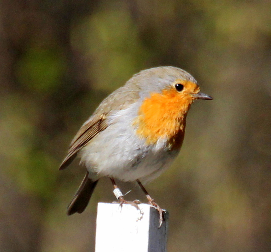 Valokuvaaja: marjo-riita le maut