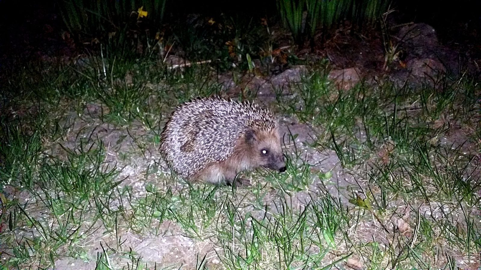 Valokuvaaja: Zdzislaw Huber