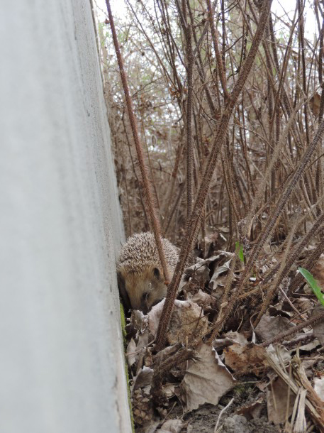 Valokuvaaja: Helena Sytelä