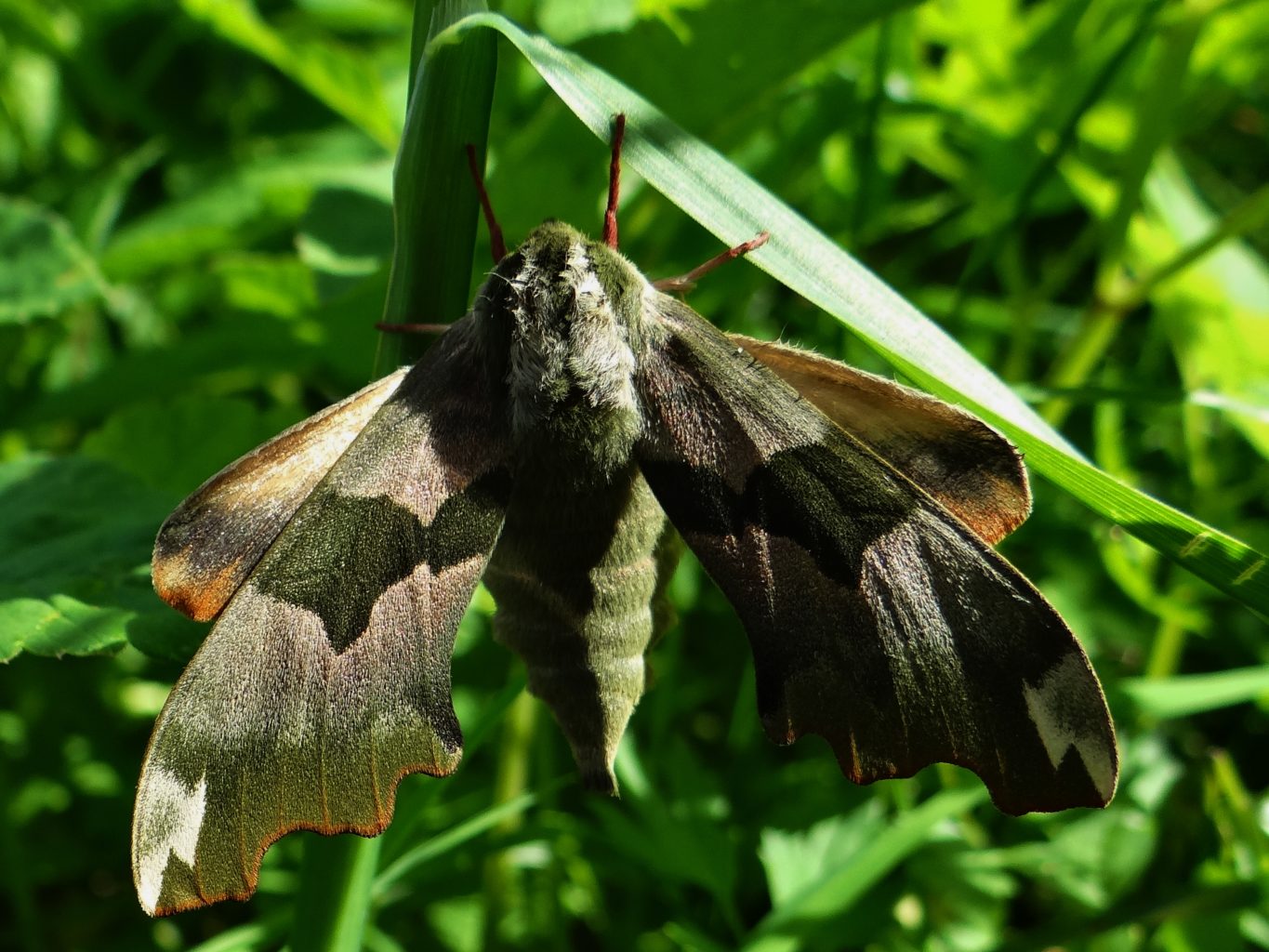 Valokuvaaja: Aune Viik
