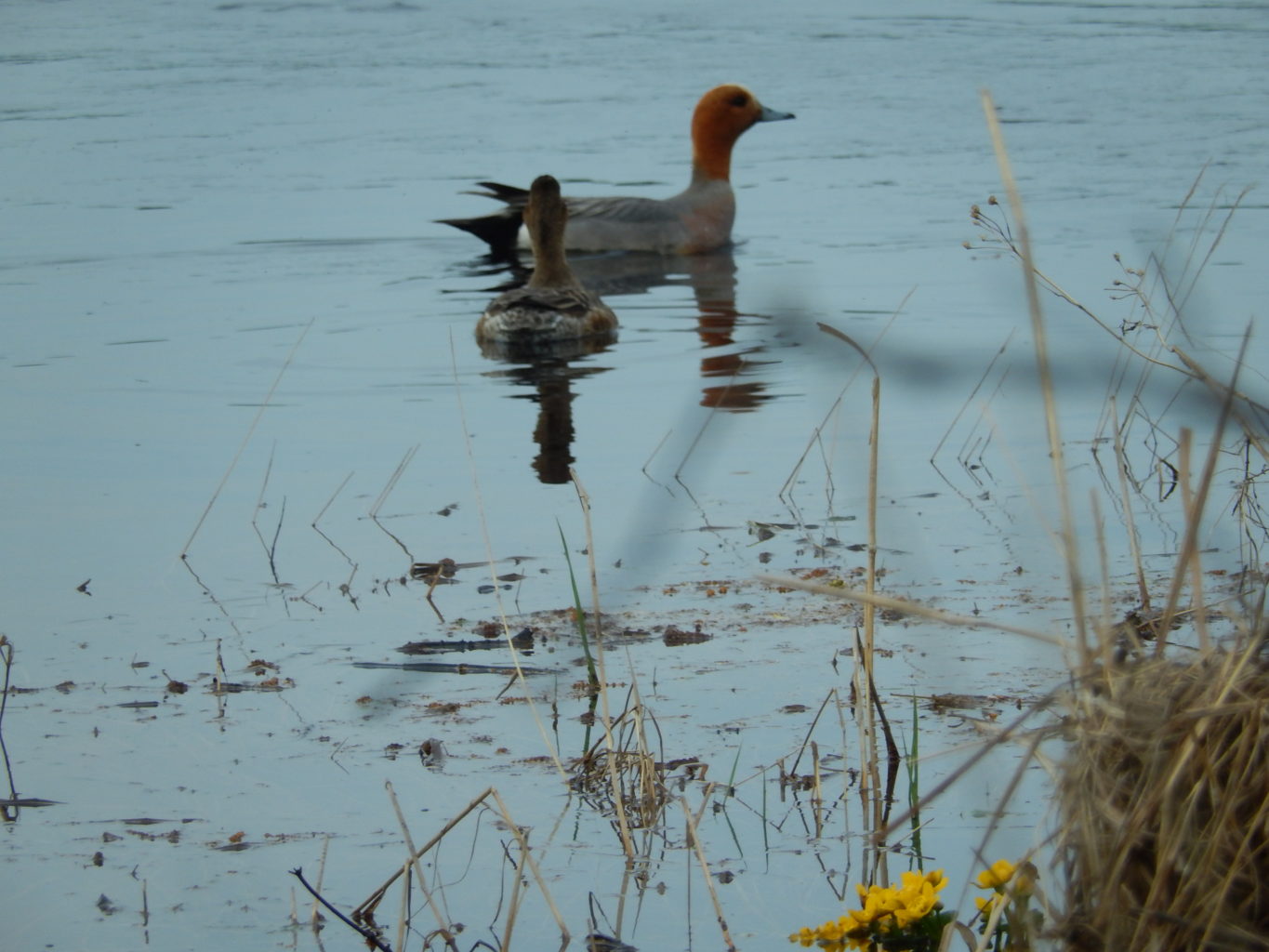 Valokuvaaja: Pirkko Siukonen