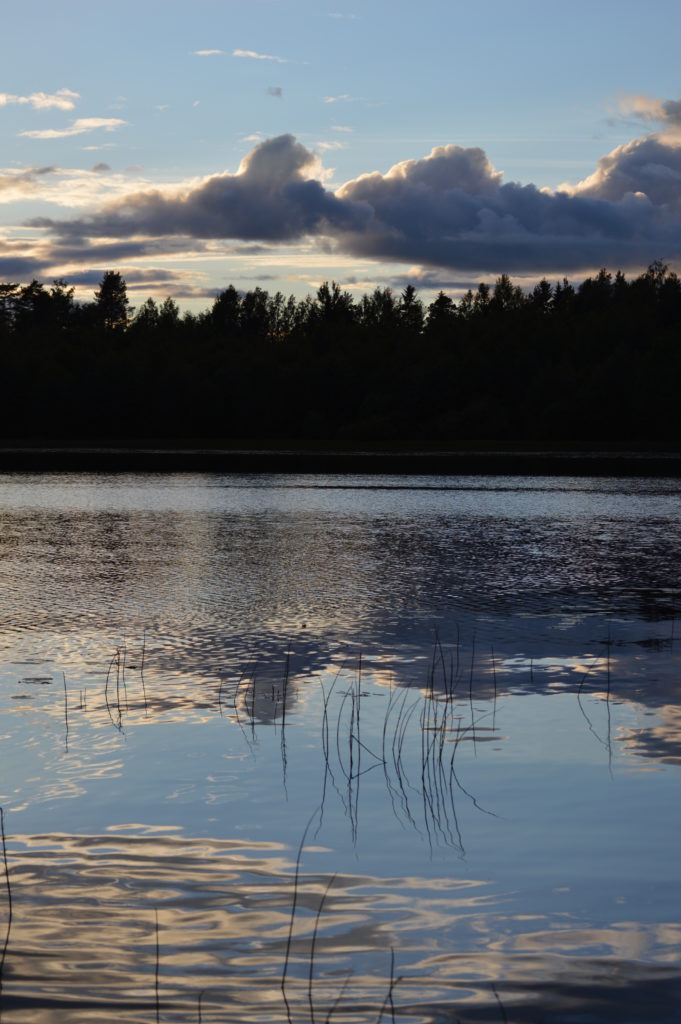 Valokuvaaja: Heli Heiniö Valokuvaaja: Heli Heiniö
