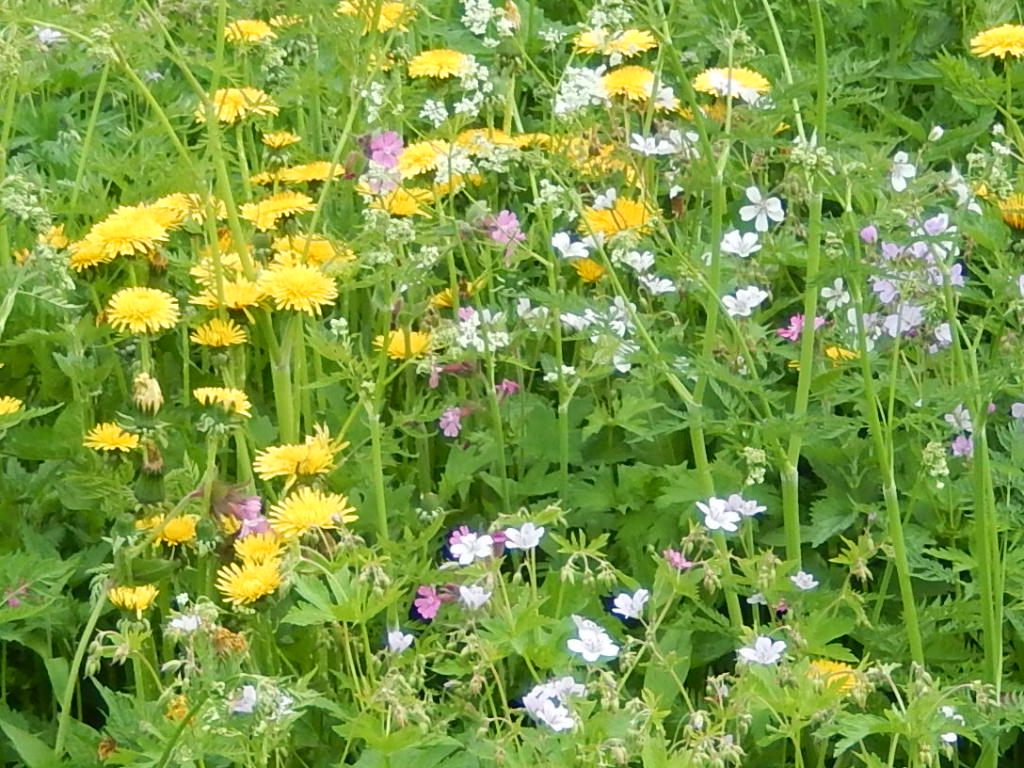 Valokuvaaja: Pirkko Siukonen Valokuvaaja: Pirkko Siukonen
