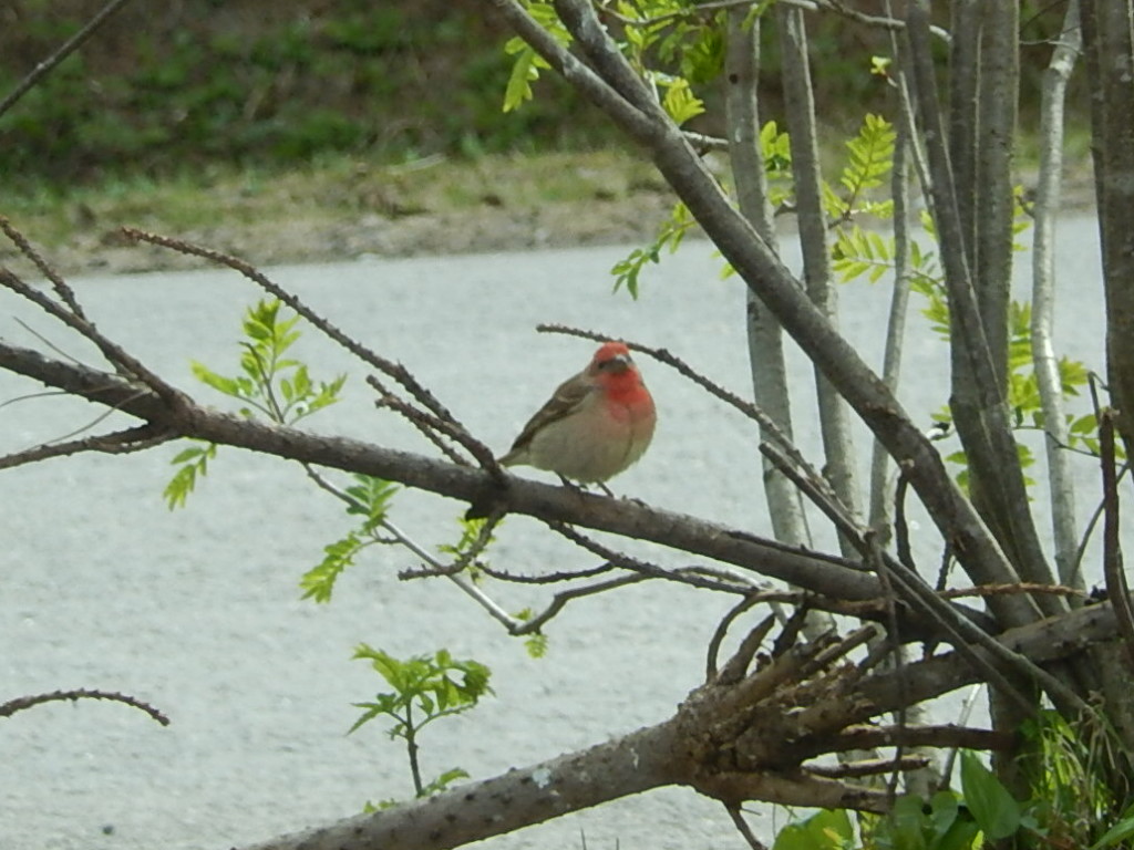 Valokuvaaja: Pirkko Siukonen