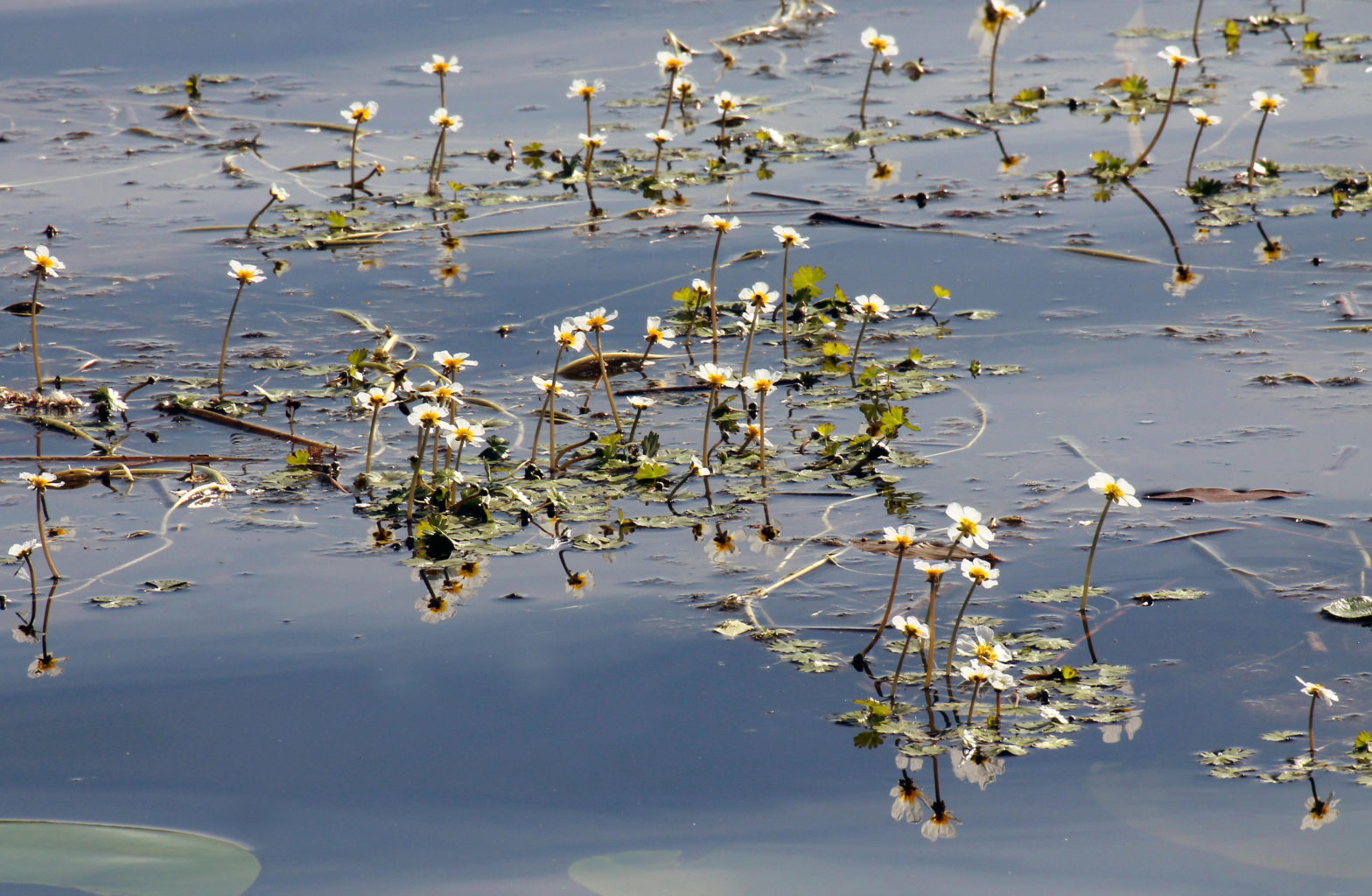 Valokuvaaja: Katri Mäkinen