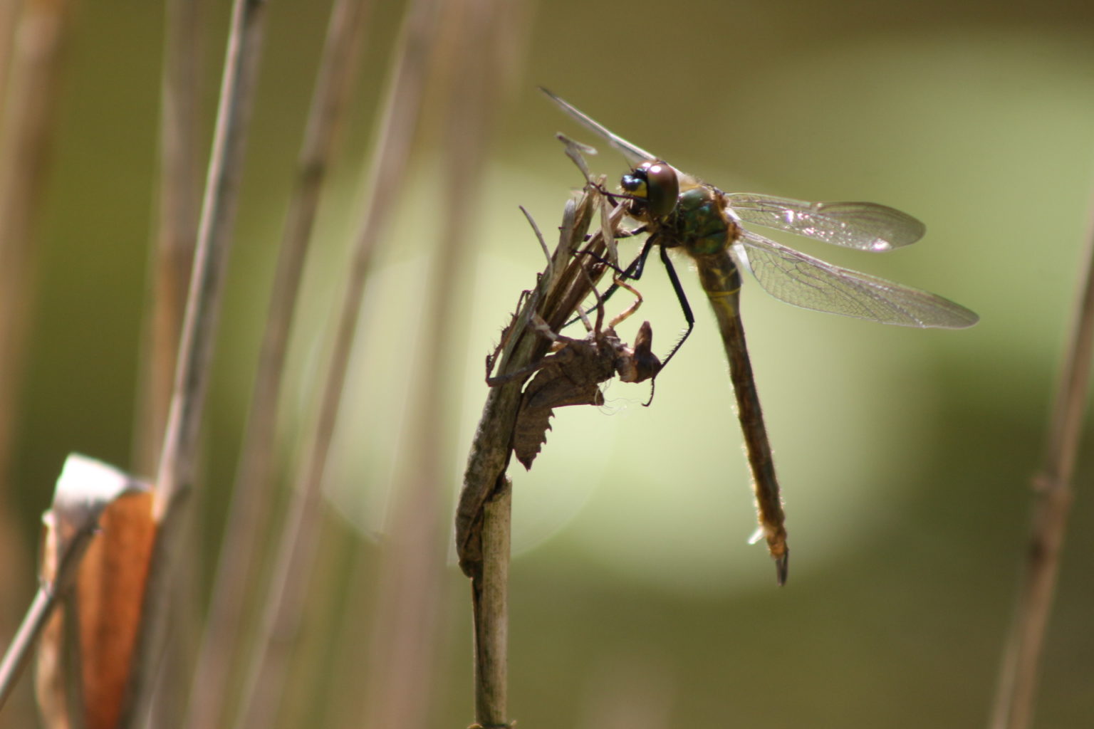 Valokuvaaja: Terhi Pöntinen