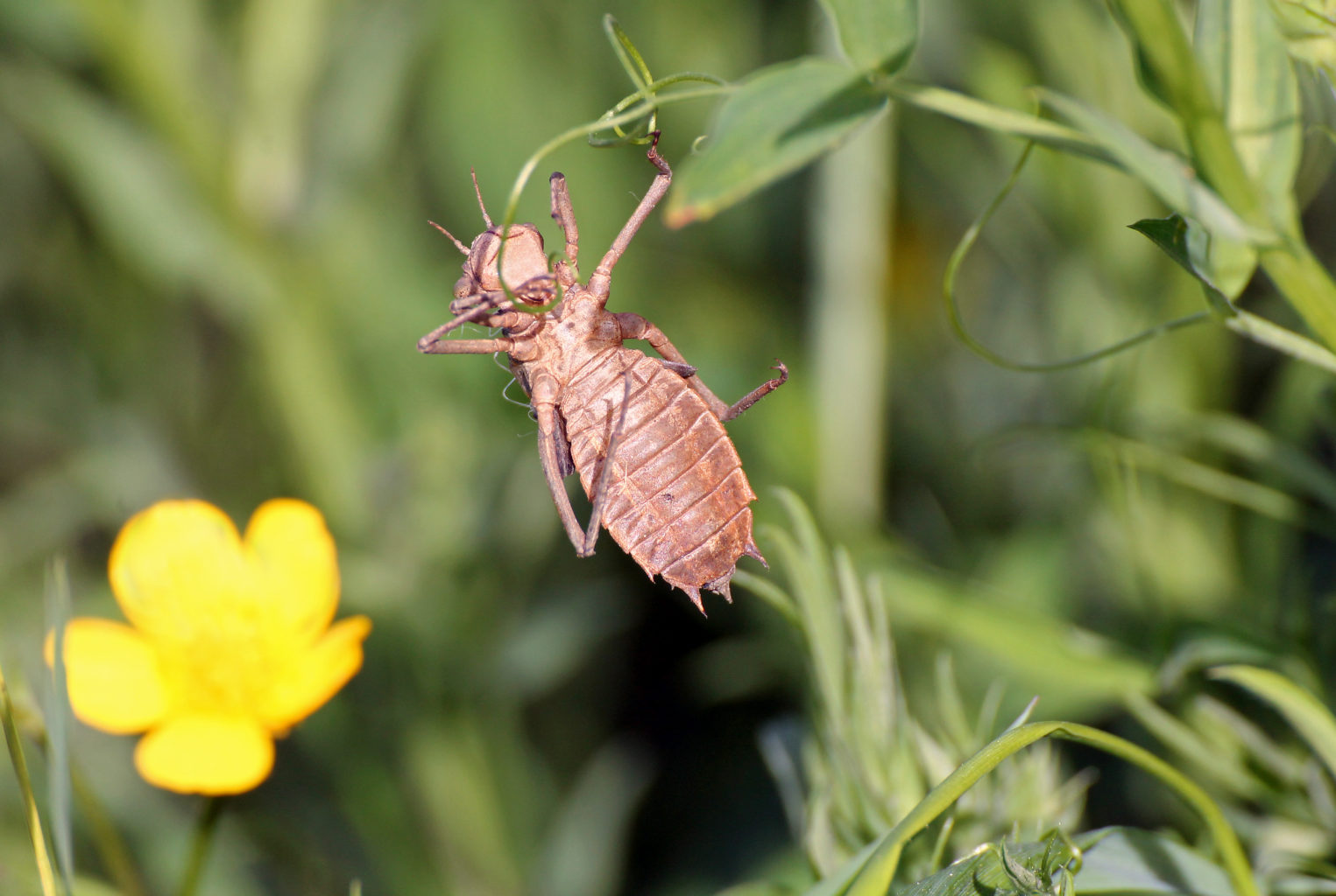 Valokuvaaja: Katri Mäkinen