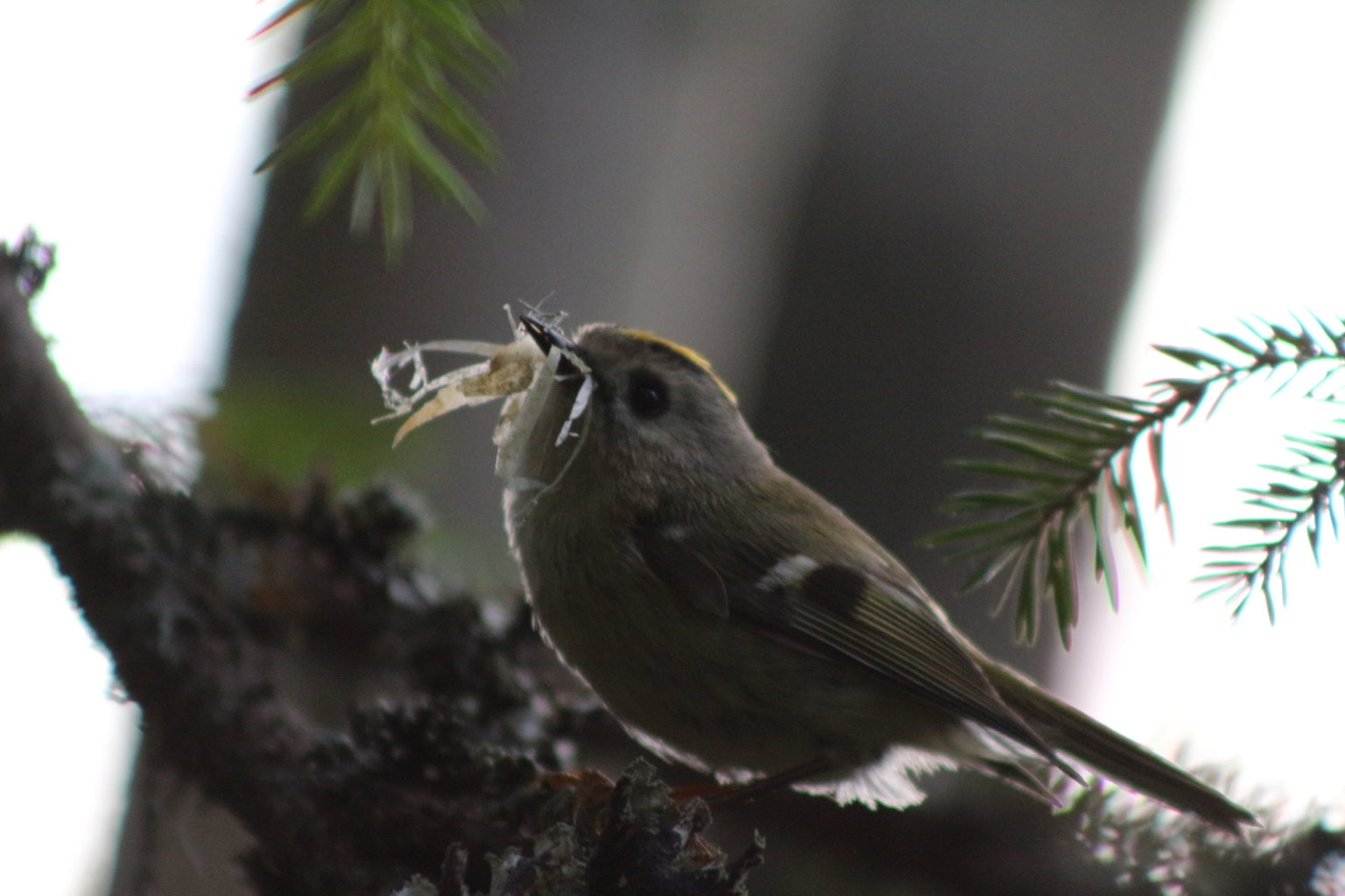 Valokuvaaja: Terhi Pöntinen