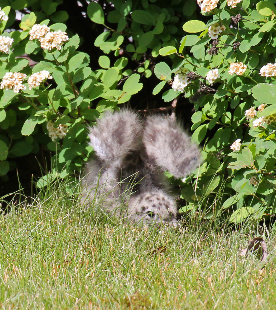 Valokuvaaja: Katri Mäkinen