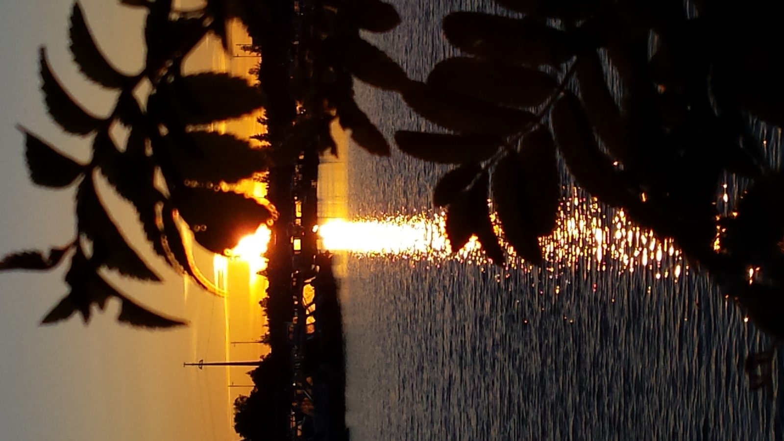 Valokuvaaja: kristiina airaksinen