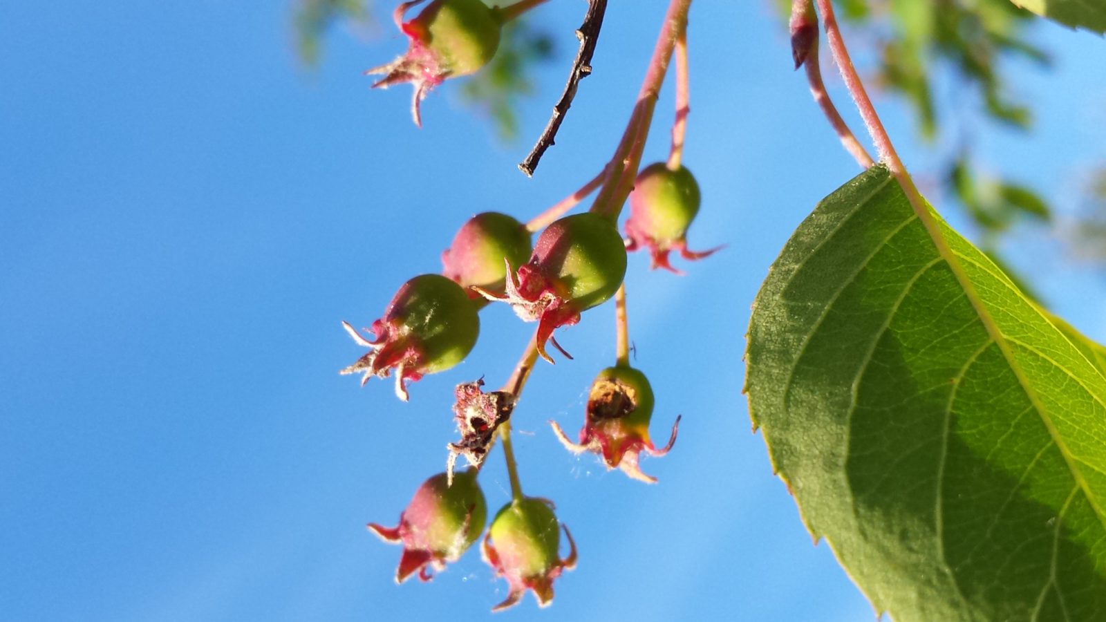 Valokuvaaja: kristiina airaksinen