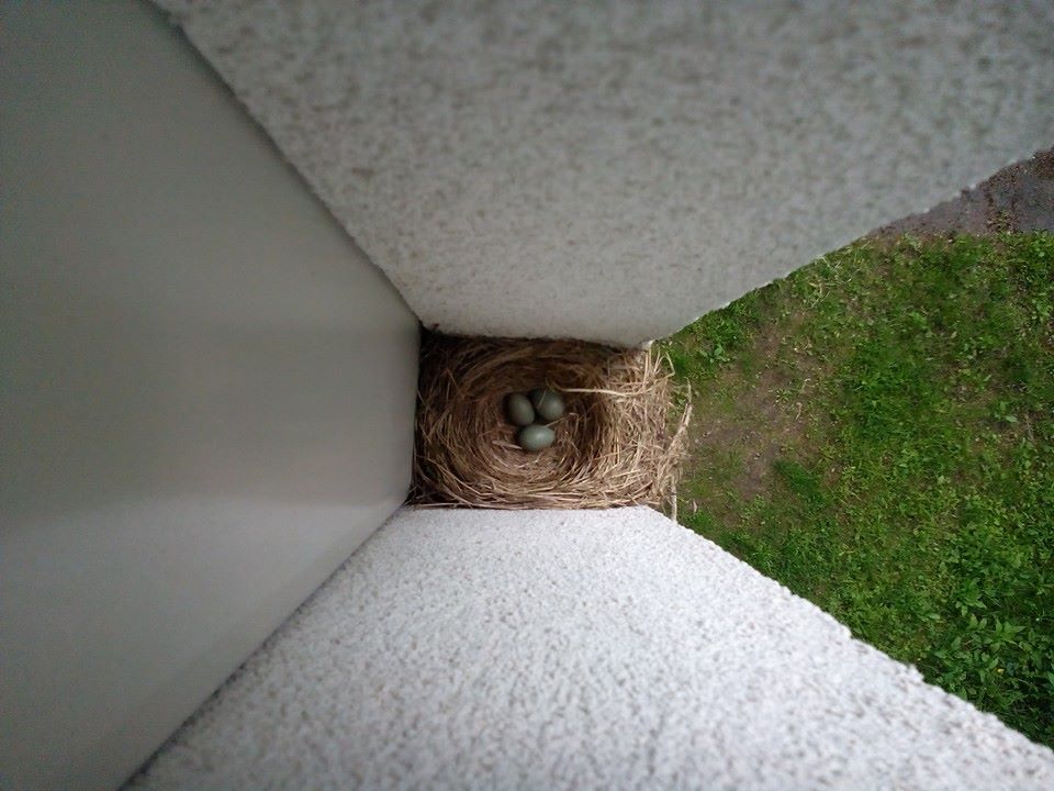 Valokuvaaja: Victoria Sandström